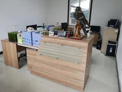 攜手共進(jìn)，再譜新篇——熱烈祝賀九度與漢武機(jī)電簽署網(wǎng)站服務(wù)協(xié)議，深化針紡織品及原料銷售合作