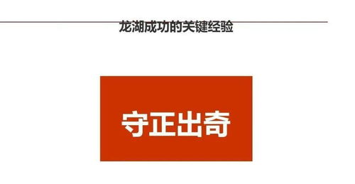 龍湖智慧 企業管理與運營精細化管理之道